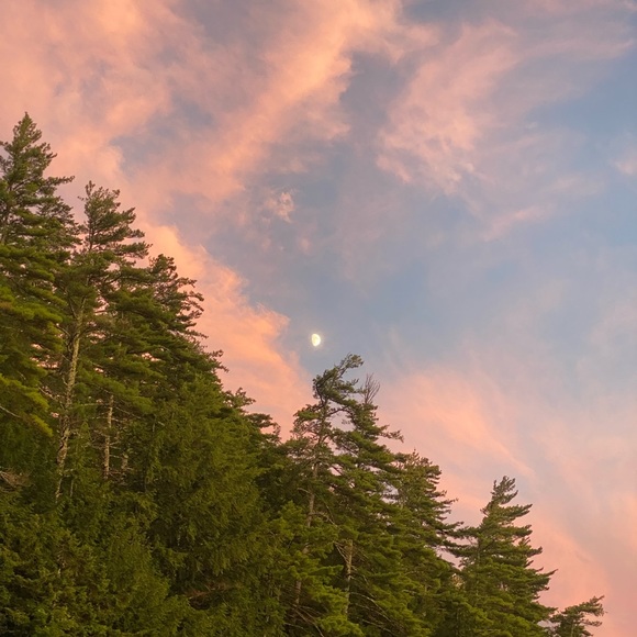 NEW INVENTORY 🌞 - Picture 15 of 15